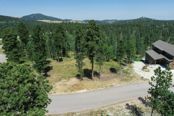 11258 OVERLOOK PASS, LEAD, SD 57754 - Image 1