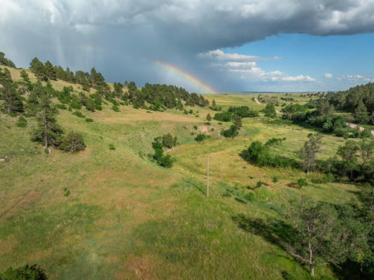 TBD RR COBB ROAD, CUSTER, SD 57730 - Image 1