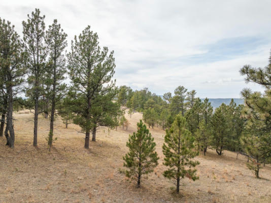 TBD LOT 6 JOY DRIVE, HOT SPRINGS, SD 57747 - Image 1