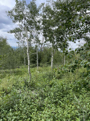 LOT 2, LEAD, SD 57754, photo 2 of 10