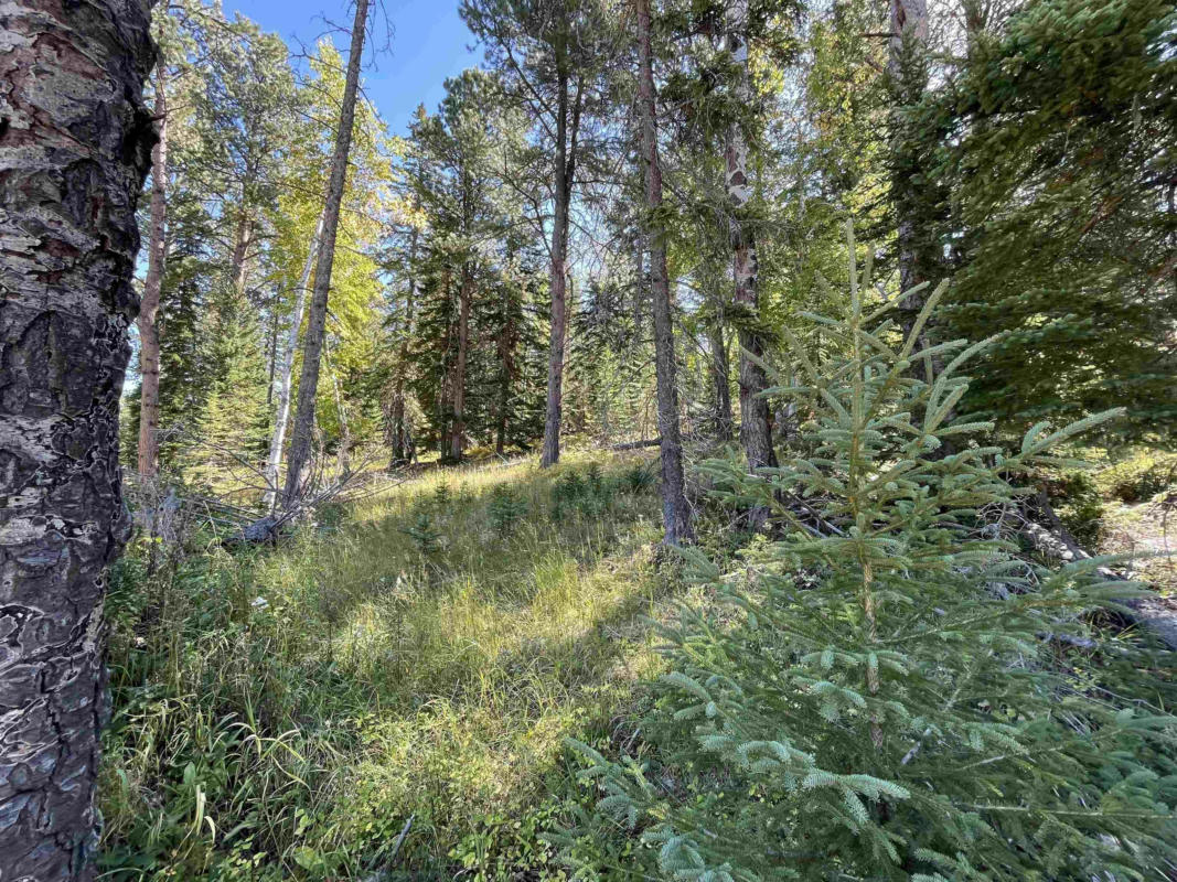 LOT 41 WOODLAND SPRINGS ROAD, LEAD, SD 57754, photo 1 of 18