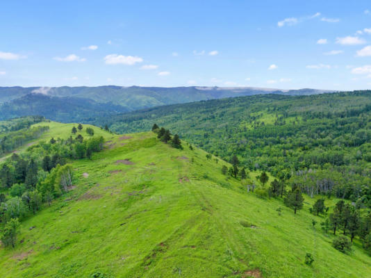 LOT54 BLK 4 TBD MYSTERY WAGON ROAD, DEADWOOD, SD 57732, photo 4 of 27