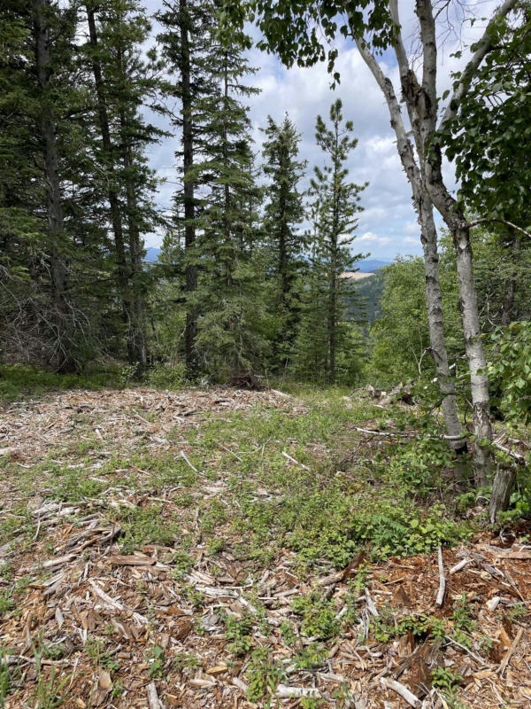 LOT 4, LEAD, SD 57754, photo 1 of 11