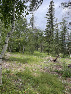 LOT 3, LEAD, SD 57754, photo 3 of 10