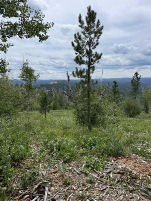 LOT 1, LEAD, SD 57754, photo 2 of 10