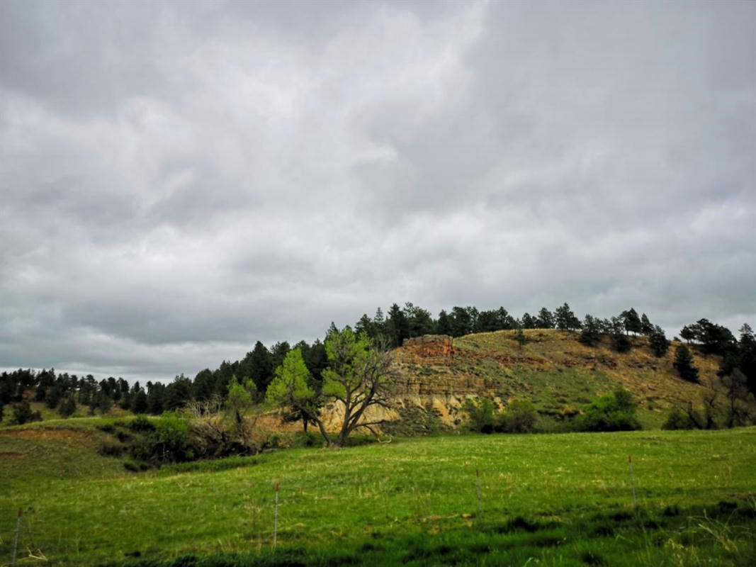 LOT 3 BBCR ROAD, BELLE FOURCHE, SD 57717, photo 1 of 29