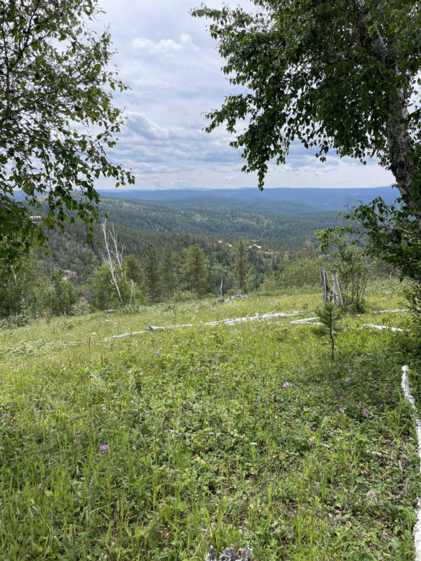 LOT 1, LEAD, SD 57754, photo 1 of 10