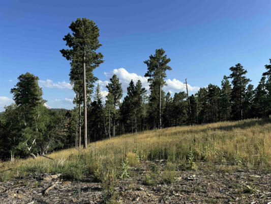 LOT 21 OVERLOOK COURT, LEAD, SD 57754 - Image 1