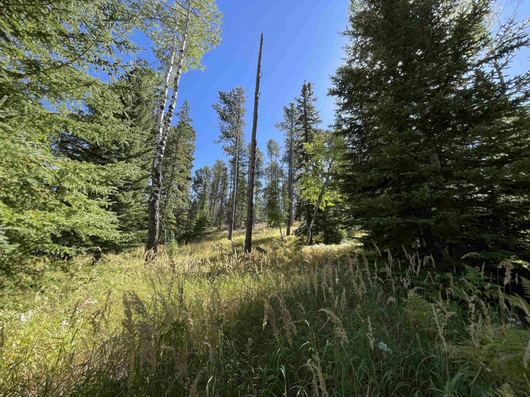 LOT 39 WOODLAND SPRINGS ROAD, LEAD, SD 57754, photo 1 of 18