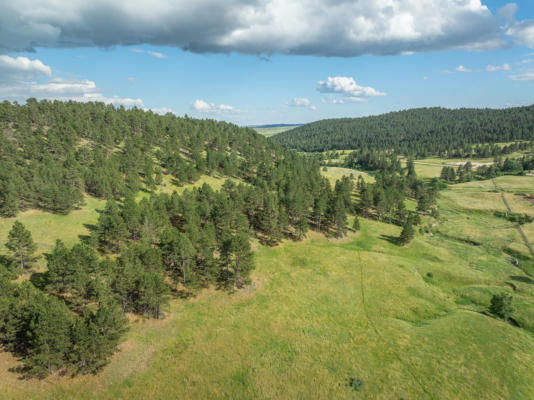 TBD RR COBB ROAD, CUSTER, SD 57730, photo 4 of 14