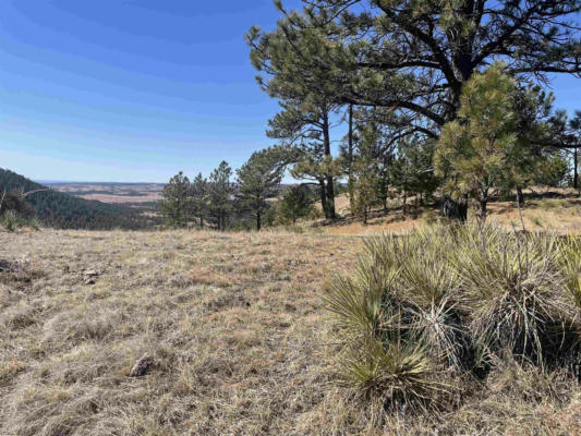 TBD JOY DRIVE, HOT SPRINGS, SD 57747, photo 4 of 26