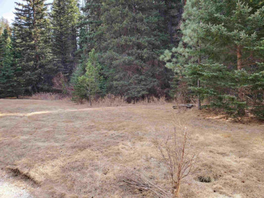 LOT 4 GEORGE FRINK ROAD, MYSTIC, SD 57745, photo 3 of 26