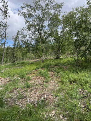 LOT 3, LEAD, SD 57754, photo 4 of 10