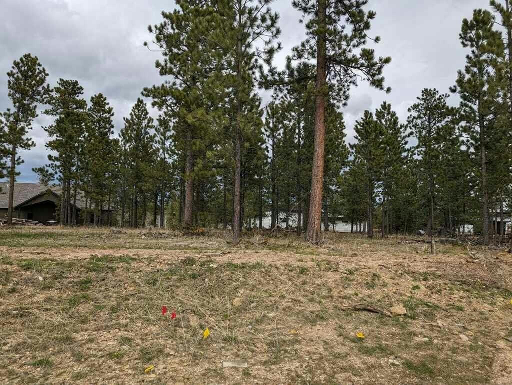 LOT 8 BLOCK 4 CANDLEWOOD COURT, LEAD, SD 57754, photo 1 of 4