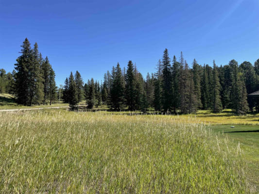 LOT 30A WOODLAND SPRINGS ROAD, LEAD, SD 57754, photo 3 of 18