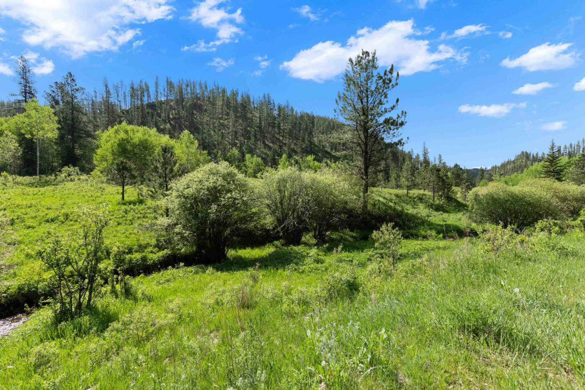 TBD SILVER CREEK ROAD, HILL CITY, SD 57745, photo 1 of 12