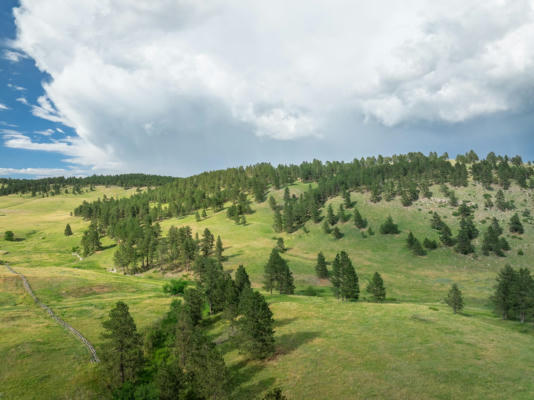 TBD RR COBB ROAD, CUSTER, SD 57730 - Image 1