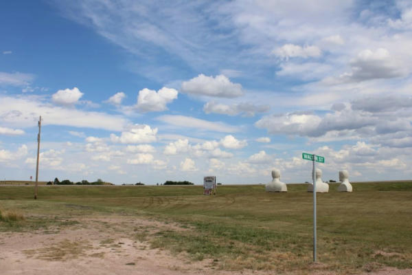 TBD HIGHWAY 79, HERMOSA, SD 57744, photo 2 of 12