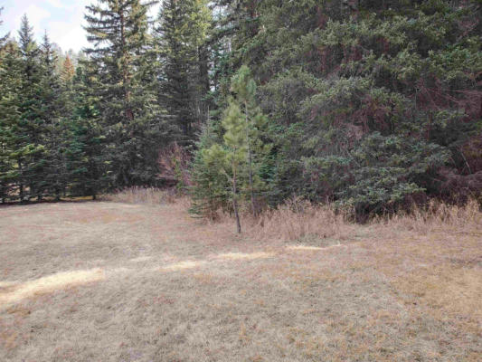 LOT 4 GEORGE FRINK ROAD, MYSTIC, SD 57745, photo 4 of 26