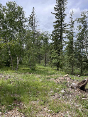 LOT 3, LEAD, SD 57754, photo 2 of 10