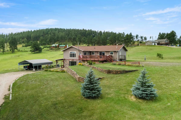 23473 MINERAL LN, HILL CITY, SD 57745 - Image 1