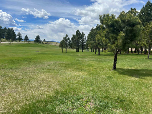 LOT 67 OTHER, SPEARFISH, SD 57783, photo 4 of 6
