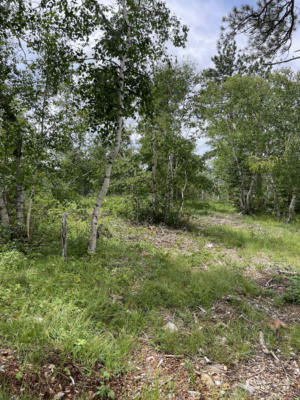 LOT 3, LEAD, SD 57754, photo 5 of 10